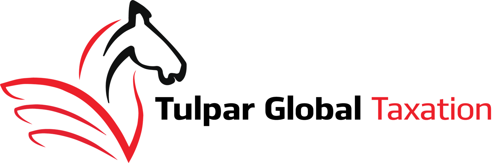 Tulpar Global Taxation logo